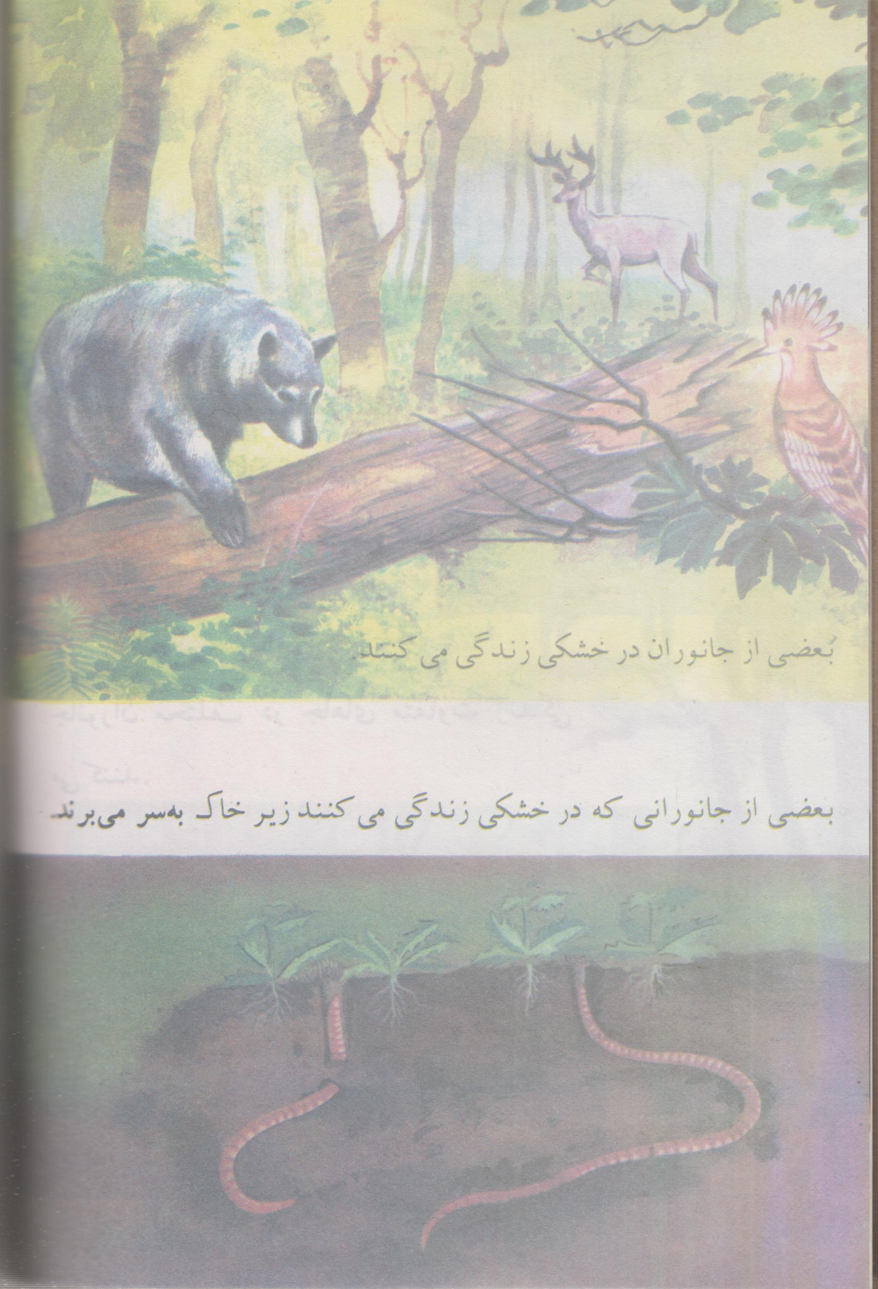 کتاب علوم دوم دبستان قدیم